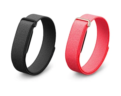 Google fitbit air